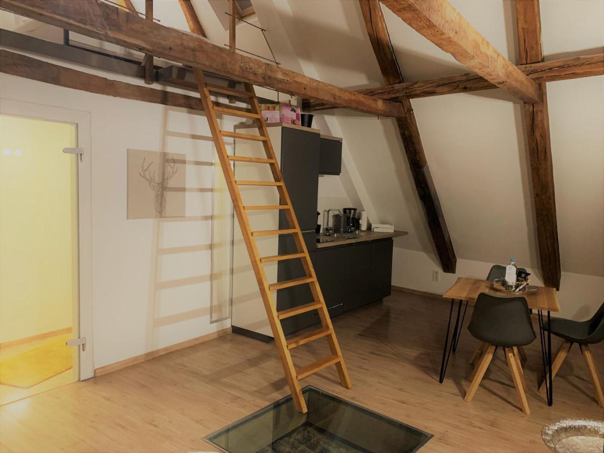Lemperdenkmal Muenster Lejlighed Eksteriør billede
