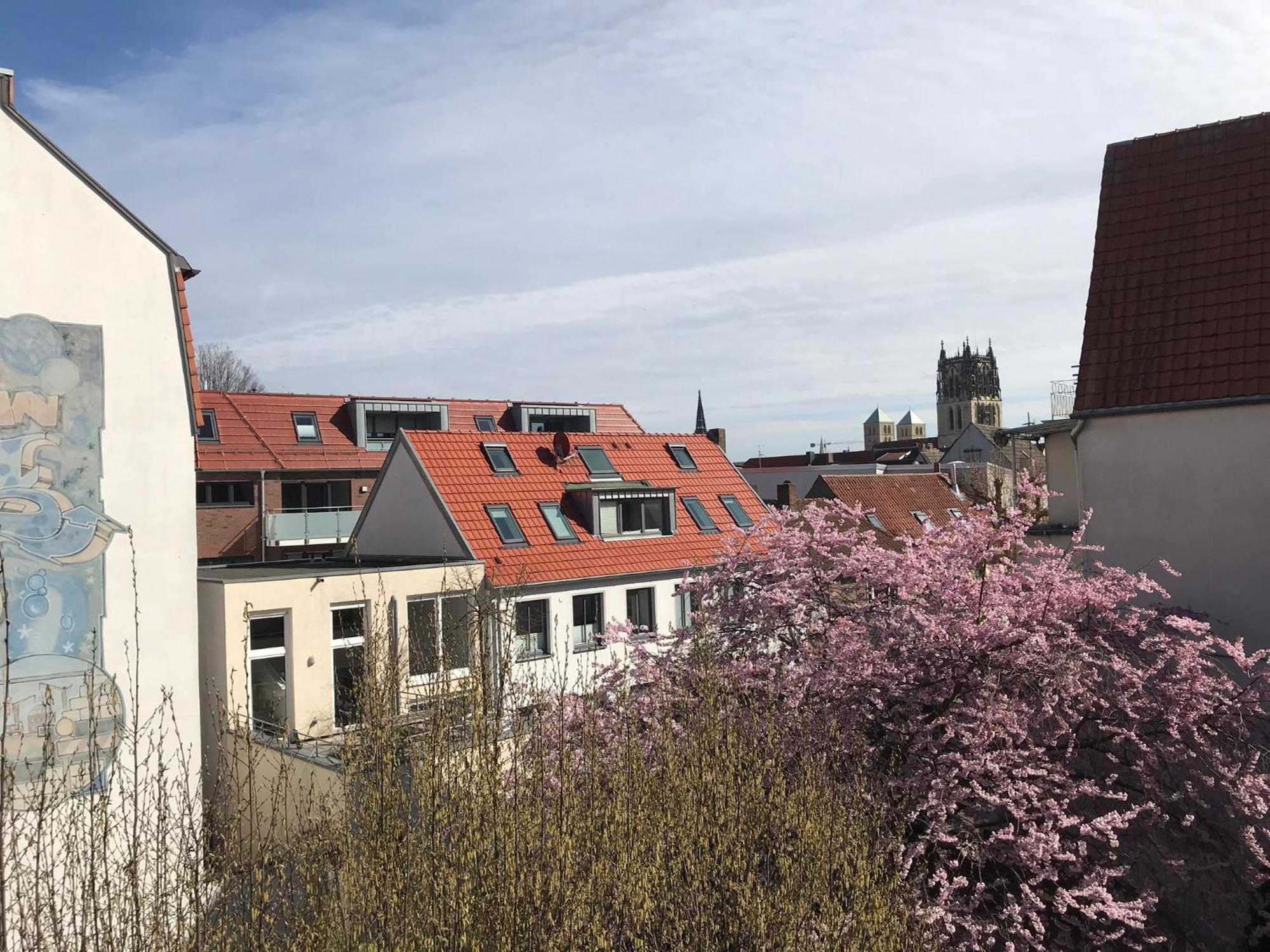 Lemperdenkmal Muenster Lejlighed Eksteriør billede