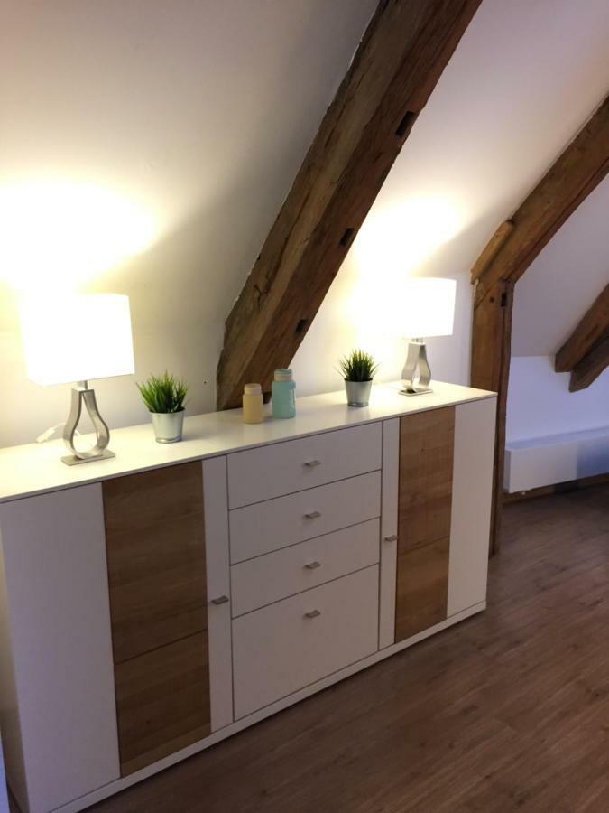 Lemperdenkmal Muenster Lejlighed Eksteriør billede